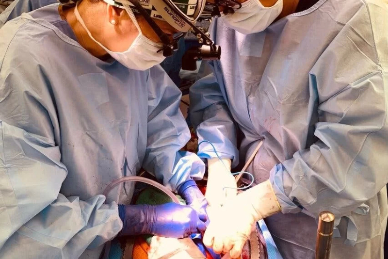 Aposentada fará transplante de rim, após Defensoria Pública viabilizar decisão que autoriza parente a doar o órgão