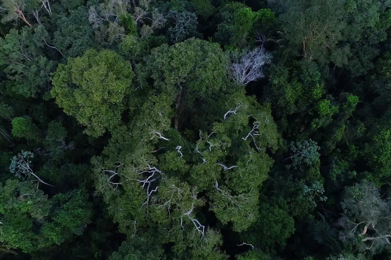 DPEMT assina Carta Aberta sobre mudanças climáticas