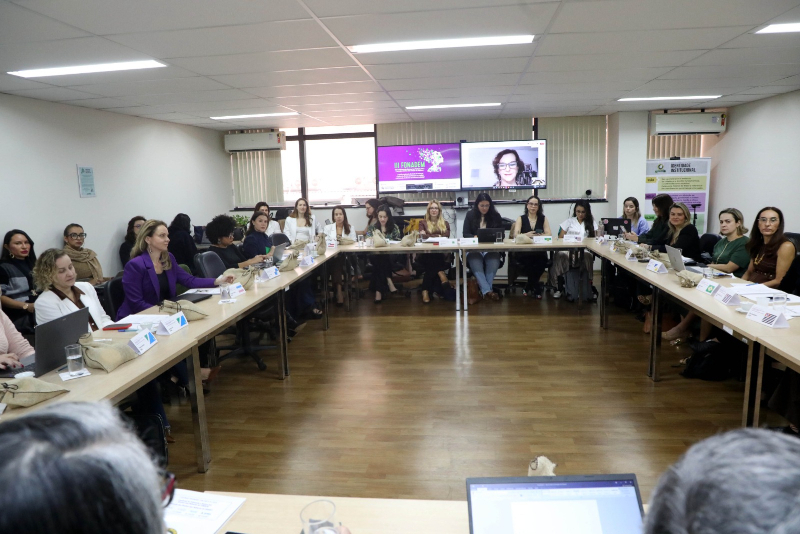 Defensora de MT participa de debates sobre gênero e violência contra a mulher em BH