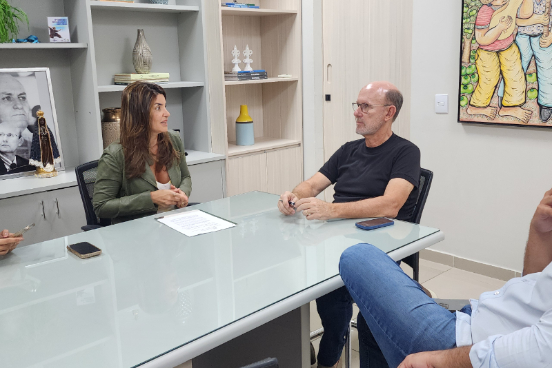 Luziane Castro se reúne com Carlos Avallone para discutir inclusão da DPEMT na LDO 2026