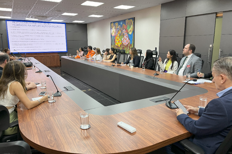 DPEMT debate formas de atuação na Rede Nacional de Amparo à Pessoa Idosa