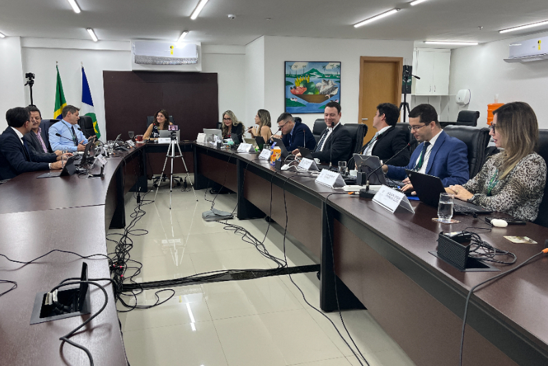 Conselho Superior aprova criação dos Núcleos de Atuação Estratégica Cível e Criminal da DPEMT