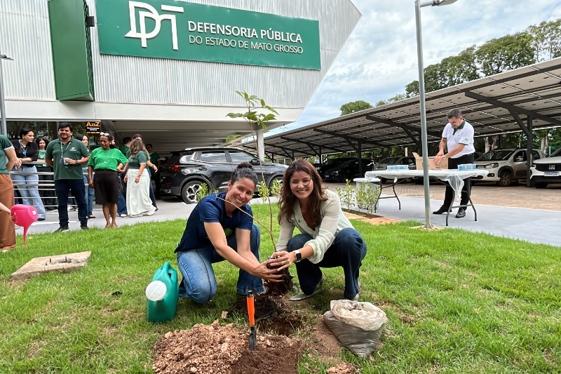 DPEMT realiza o plantio de mudas na nova sede administrativa